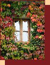 Podzimn okno